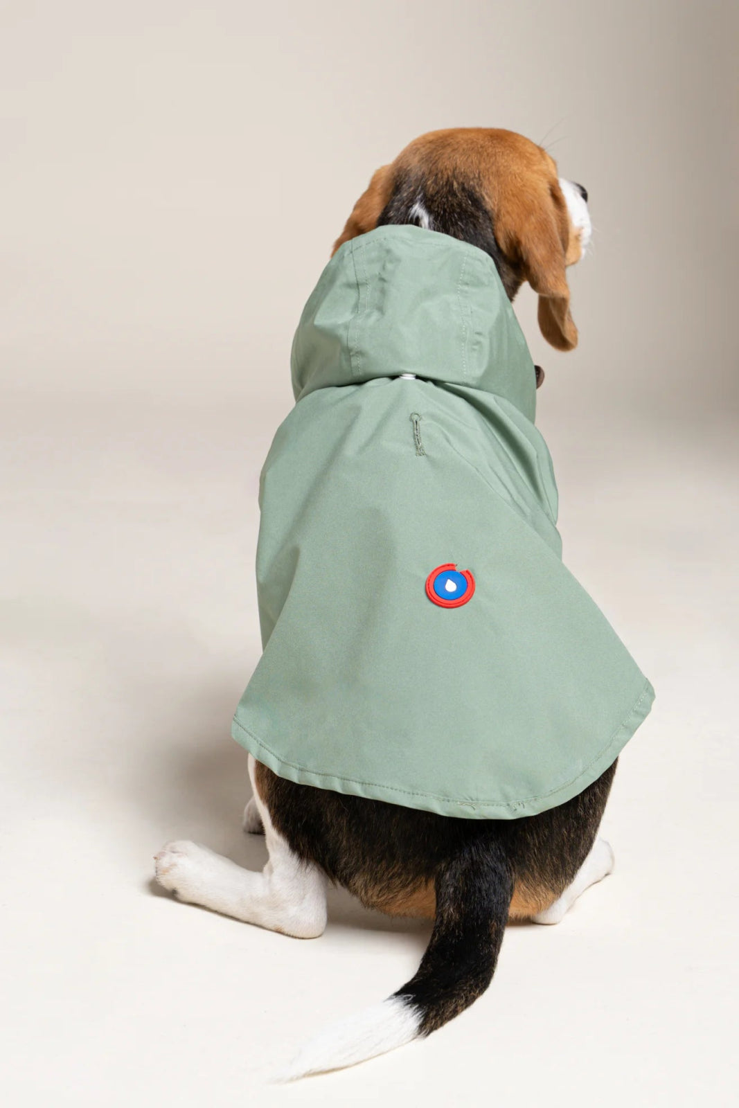 Boulogne raincoat for dogs -Flotte #couleur_vert-sauge