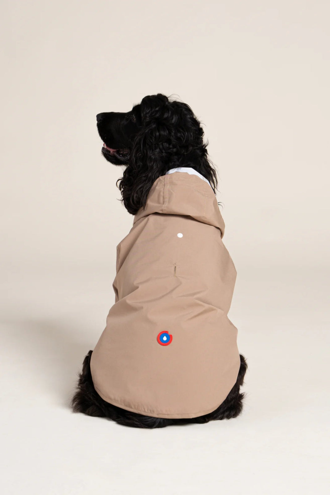 Boulogne raincoat for dogs -Flotte #couleur_sahara