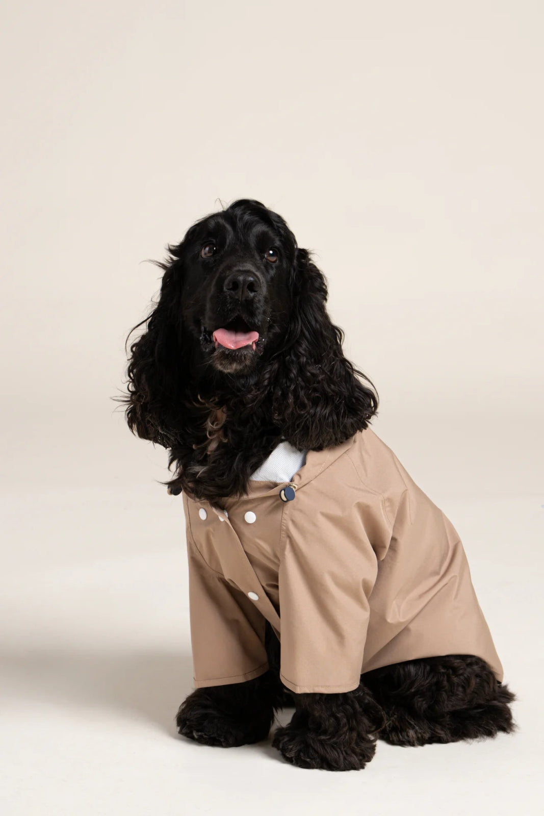 Boulogne raincoat for dogs -Flotte #couleur_sahara