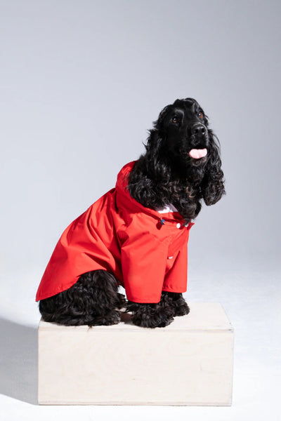 Boulogne raincoat for dogs -Flotte #couleur_rouge