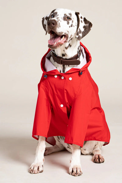 Boulogne raincoat for dogs -Flotte #couleur_rouge