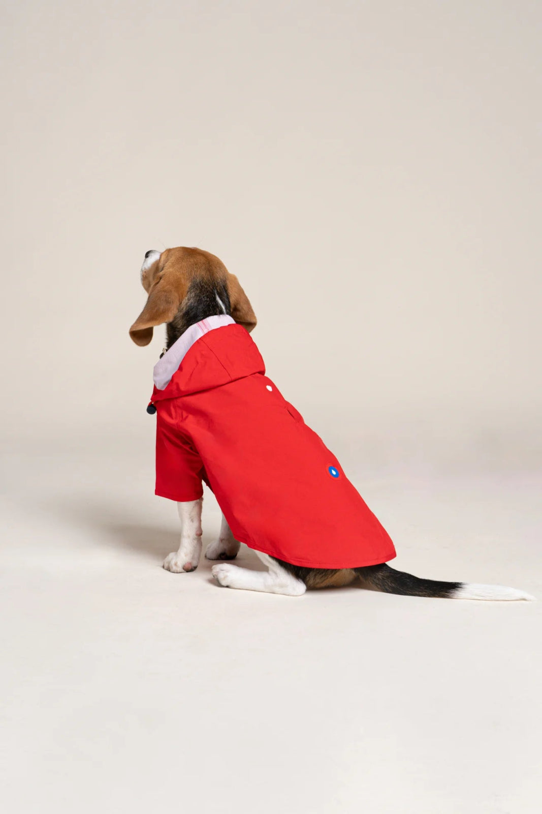 Boulogne raincoat for dogs -Flotte #couleur_rouge