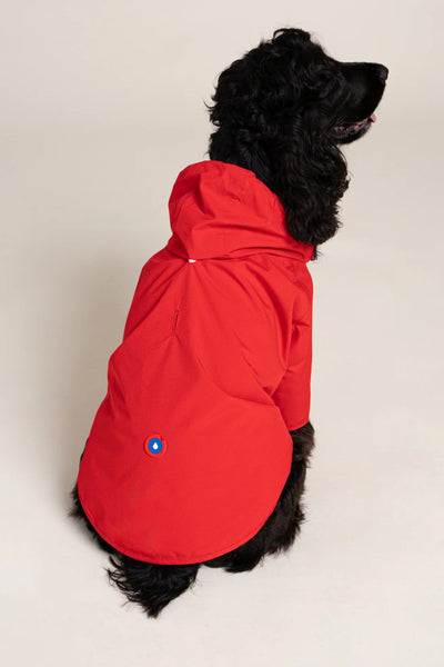 Boulogne raincoat for dogs -Flotte #couleur_rouge