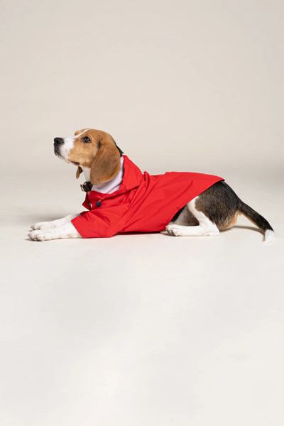 Boulogne raincoat for dogs -Flotte #couleur_rouge