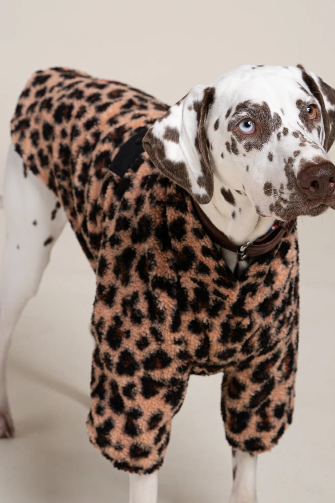 Charlot - Fleece vest for dogs - Flotte #couleur_new-leopard