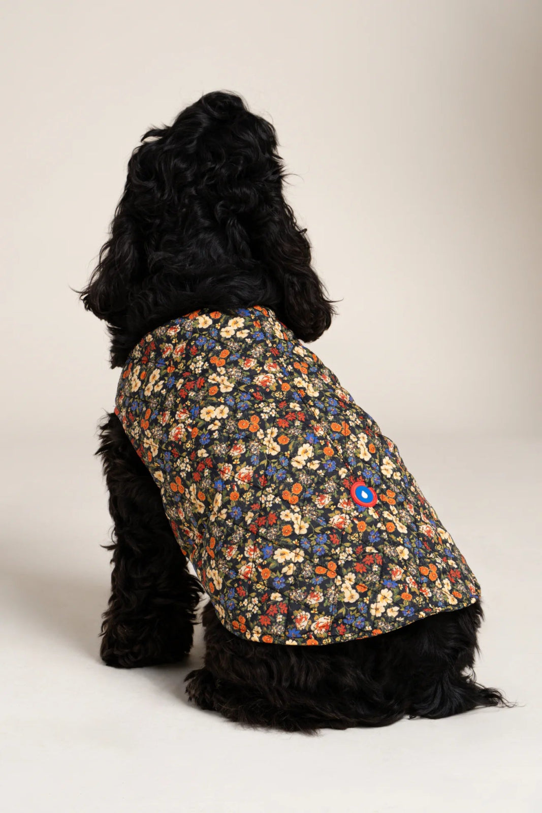 Vincennes - Dog coat - Flotte #couleur_bloom