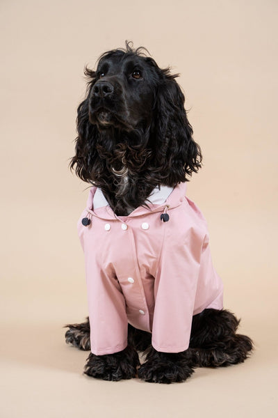 Boulogne - Raincoat for dogs - Flotte #couleur_bonbon