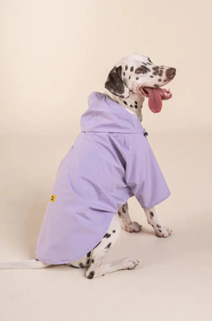 Boulogne raincoat for dogs Flotte x Bandit #couleur_lilas