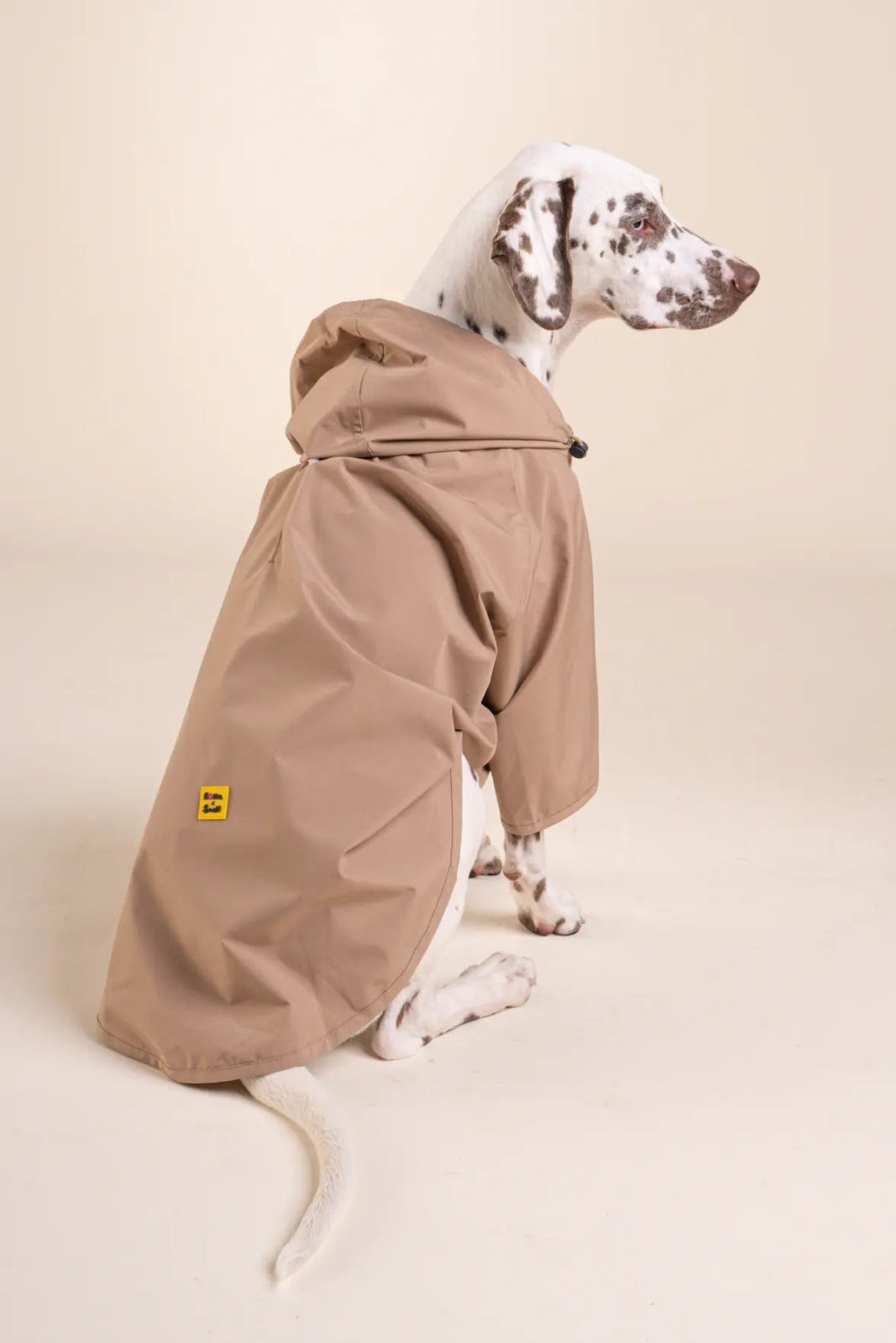 Boulogne raincoat for dogs Flotte x Bandit #couleur_sahara