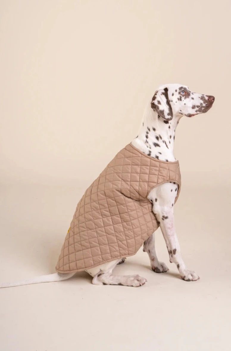 Vincennes - Sleeveless down jacket for dogs - Flotte #couleur_sahara