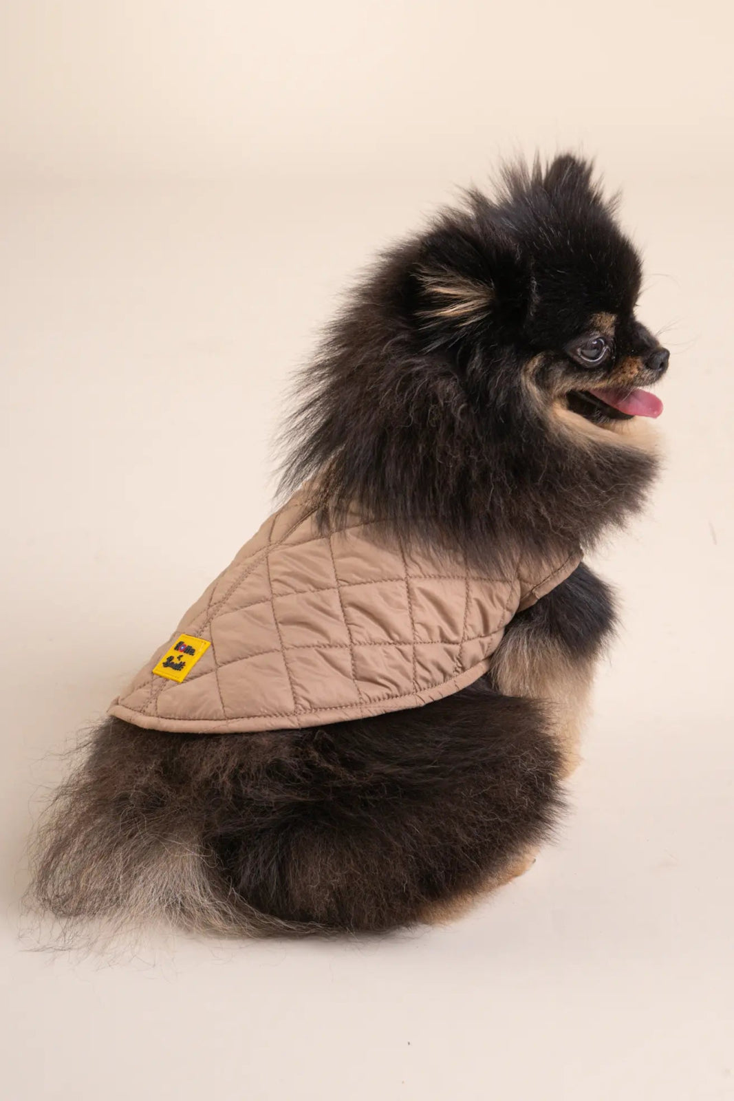 Vincennes - Sleeveless down jacket for dogs - Flotte #couleur_sahara
