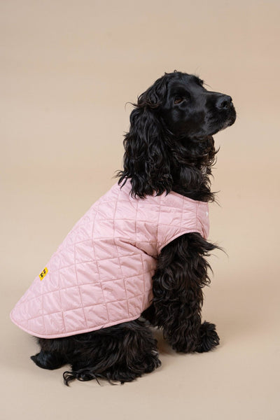 Vincennes - Sleeveless down jacket for dogs - Flotte #couleur_bonbon