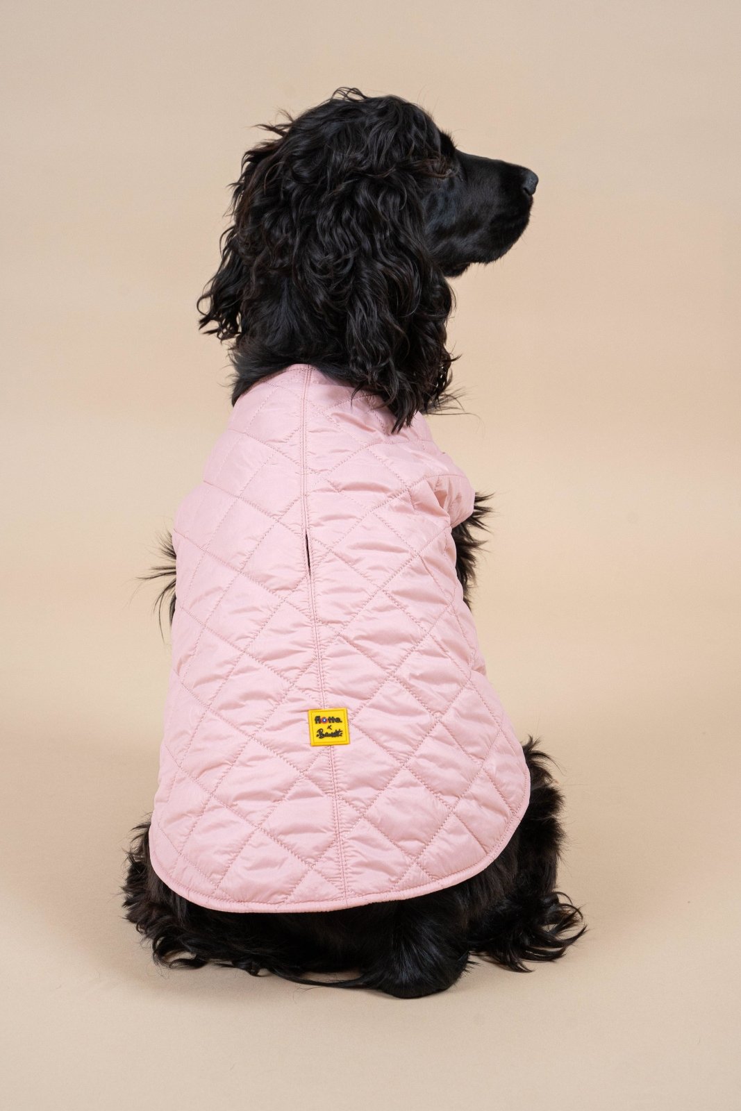 Vincennes - Sleeveless down jacket for dogs - Flotte